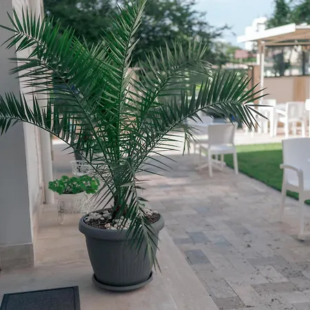 Quarto em Acomodações Particulares Lara Boutique Eforie Nord