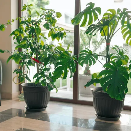 Quarto em Acomodações Particulares Lara Boutique *