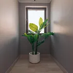 Quarto em Acomodações Particulares Lara Boutique