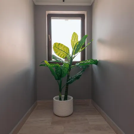 Homestay Lara Boutique