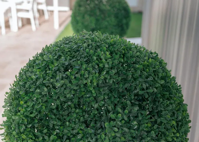 Lara Boutique * 艾福雷诺德