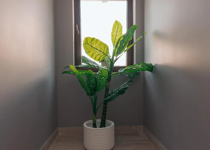 民宿 Lara Boutique