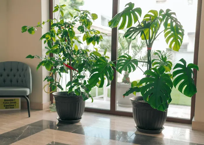 民宿 Lara Boutique *